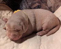 processed/7819bd7b-4a35-440f-bde0-f2c786e7b60c/listing/712747cd-ecc9-4c3a-8a44-b0e90d55bdb0/e8908dcc-27d7-4a28-a77c-e6566f6c86e8