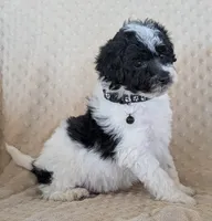 processed/7819bd7b-4a35-440f-bde0-f2c786e7b60c/listing/a6ce054f-7aa4-4b0e-b755-8c4610344c59/6fcdc46a-857e-423d-ab99-e063ac3cbd21