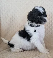 processed/7819bd7b-4a35-440f-bde0-f2c786e7b60c/listing/a6ce054f-7aa4-4b0e-b755-8c4610344c59/7e15beb0-cec1-4870-b197-79c3157f3e76