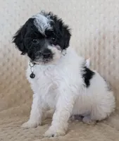 processed/7819bd7b-4a35-440f-bde0-f2c786e7b60c/listing/a6ce054f-7aa4-4b0e-b755-8c4610344c59/effacc46-f168-4b1e-8922-755379c526f8