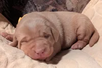 processed/7819bd7b-4a35-440f-bde0-f2c786e7b60c/listing/c11747a9-9a7e-4bf1-b39f-f44ef9e27aa1/025f2fe8-7d94-4543-9866-e4037adbfd85