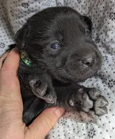 processed/7819bd7b-4a35-440f-bde0-f2c786e7b60c/listing/d6f0ee34-f0a0-4025-a073-bd8e326117be/0d0b9602-8896-4e66-a30a-02aeea4c4f0b