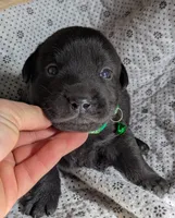 processed/7819bd7b-4a35-440f-bde0-f2c786e7b60c/listing/d6f0ee34-f0a0-4025-a073-bd8e326117be/40c0ade9-a800-49ff-8d6d-02f96770ed1b