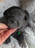 processed/7819bd7b-4a35-440f-bde0-f2c786e7b60c/listing/d6f0ee34-f0a0-4025-a073-bd8e326117be/53794d71-6596-4885-968a-1f3221ed8d18