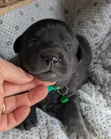 processed/7819bd7b-4a35-440f-bde0-f2c786e7b60c/listing/d6f0ee34-f0a0-4025-a073-bd8e326117be/73167492-3196-46e6-a165-c16e34f84e3e