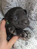 processed/7819bd7b-4a35-440f-bde0-f2c786e7b60c/listing/d6f0ee34-f0a0-4025-a073-bd8e326117be/cfc0cc20-bed1-44f6-bb14-86d1558a74c6