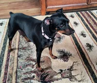 processed/78298221-cebe-4532-a32c-3fcec37e899d/listing/5c19115f-af77-47fb-a553-2dbfe583951a/99e12b66-c907-4adf-8489-9a07c5142264