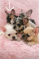 processed/782b0c0a-228e-4df4-9d0b-74b00d2ef510/facility/2aa88cb3-c875-4155-876d-91a45f8752c3