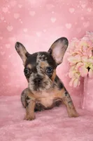 processed/782b0c0a-228e-4df4-9d0b-74b00d2ef510/facility/99617613-f330-48d3-98f4-1a12074011c8