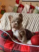 processed/782b0c0a-228e-4df4-9d0b-74b00d2ef510/facility/deff9f9d-9148-485b-a482-a7e4940d7f7e