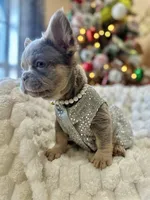 processed/782b0c0a-228e-4df4-9d0b-74b00d2ef510/listing/18e5be6b-7ca4-41c3-88ac-487e2722dbaa/247e1da4-0e5e-4398-b8d7-86b512027da4