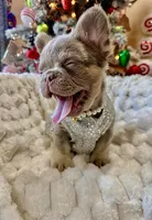 processed/782b0c0a-228e-4df4-9d0b-74b00d2ef510/listing/18e5be6b-7ca4-41c3-88ac-487e2722dbaa/3655a9d6-9dcc-4e5c-901f-3f17ddc292c4