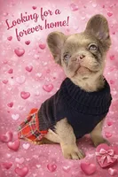 processed/782b0c0a-228e-4df4-9d0b-74b00d2ef510/listing/18e5be6b-7ca4-41c3-88ac-487e2722dbaa/62b0d14c-e779-4196-8638-1eb20a4ef7bf