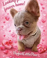 processed/782b0c0a-228e-4df4-9d0b-74b00d2ef510/listing/18e5be6b-7ca4-41c3-88ac-487e2722dbaa/7137b659-f0fc-4651-921e-1581570ba41a