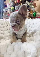 processed/782b0c0a-228e-4df4-9d0b-74b00d2ef510/listing/18e5be6b-7ca4-41c3-88ac-487e2722dbaa/affcc896-a2d2-4b90-8609-04457e5f1c2c