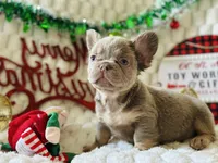 processed/782b0c0a-228e-4df4-9d0b-74b00d2ef510/listing/18e5be6b-7ca4-41c3-88ac-487e2722dbaa/f7ec10c4-ae47-41ae-883e-0d0418d7002f