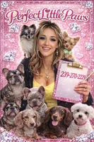 Rosey , a female French Bulldog for sale in West Palm Beach, FL – Photo 8 of 8