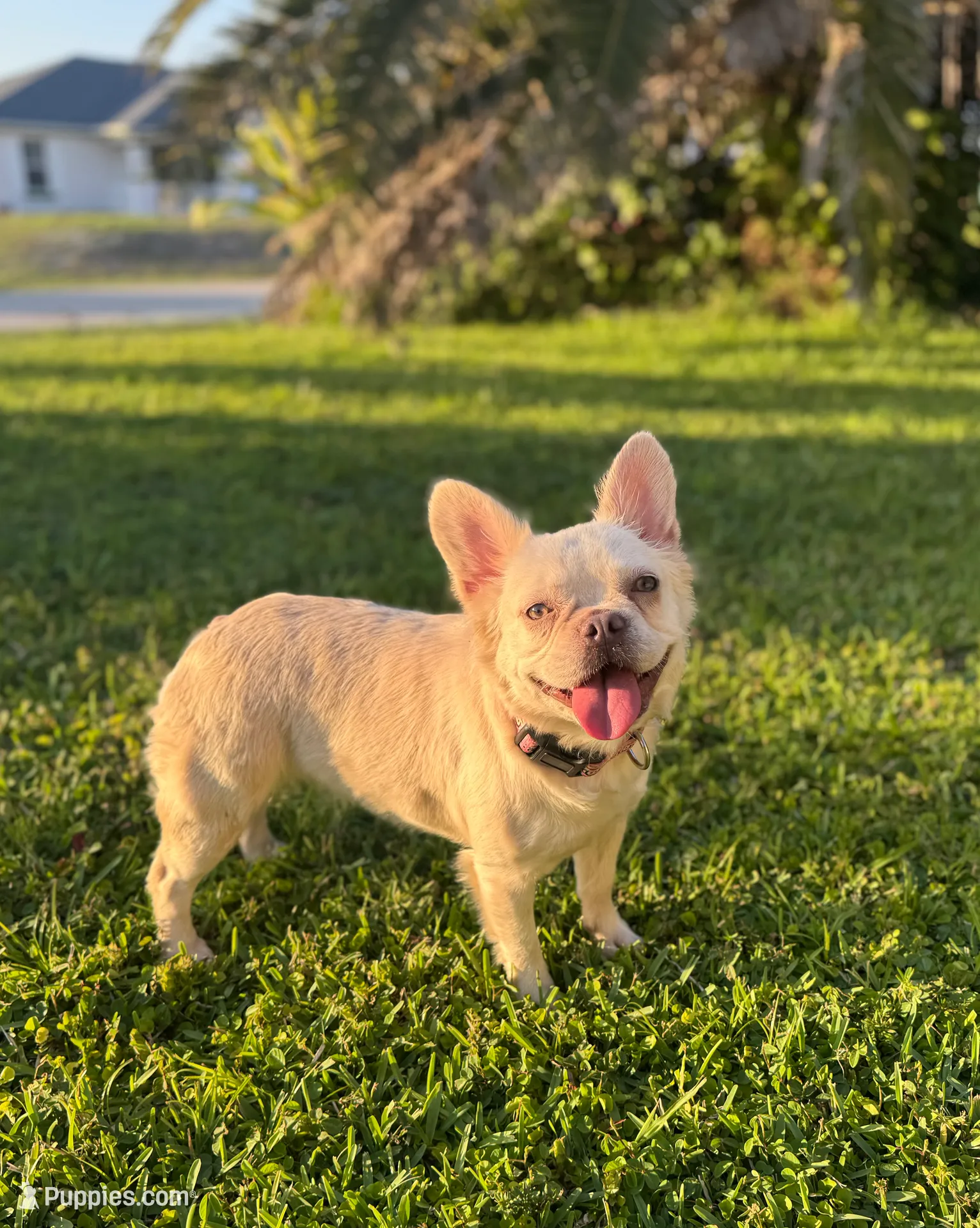 processed/782b0c0a-228e-4df4-9d0b-74b00d2ef510/listing/759ecf61-4415-4672-942c-b1ac79a014db/0248a23e-cb3b-4086-ac9f-1c2f57736868