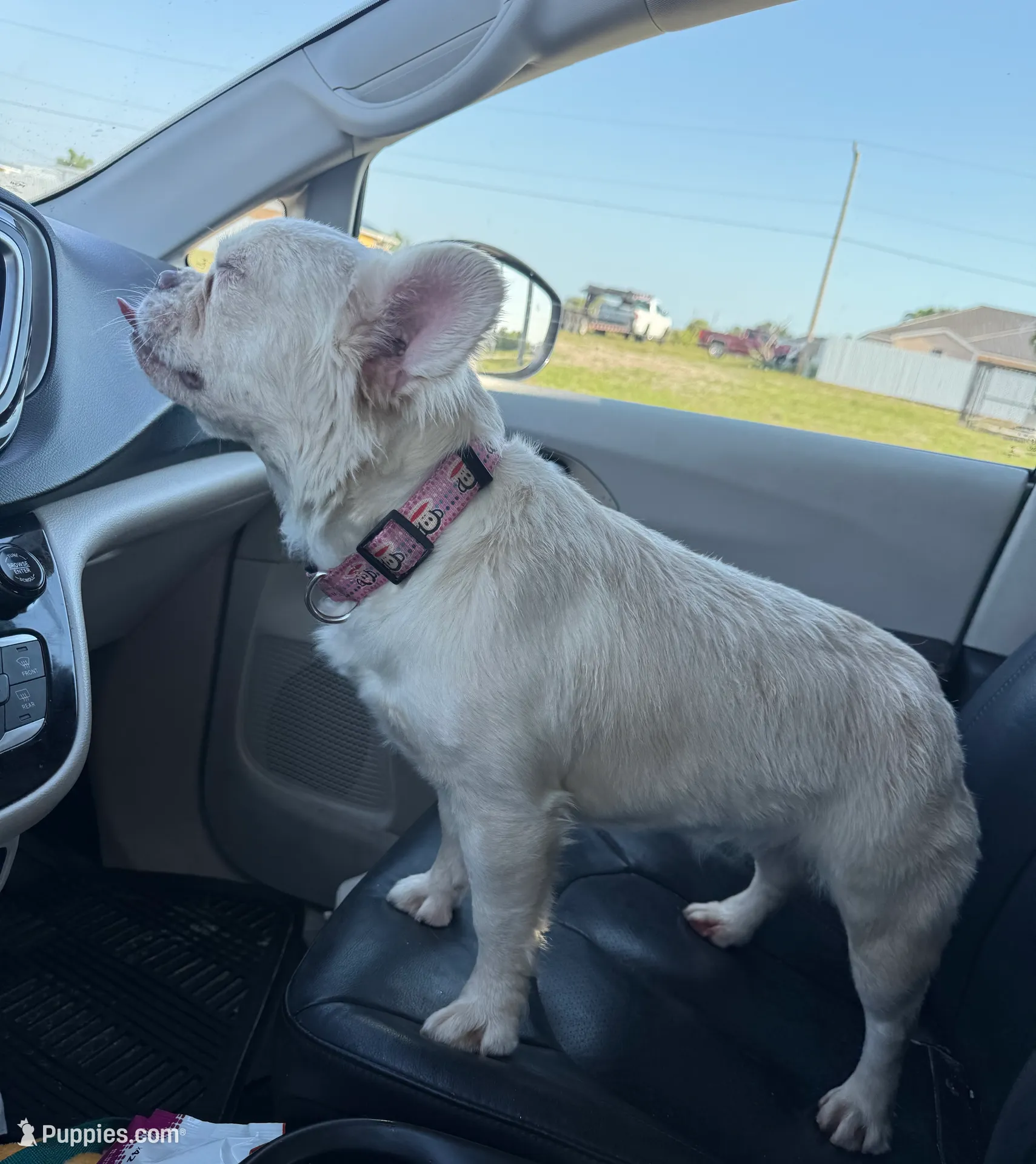 processed/782b0c0a-228e-4df4-9d0b-74b00d2ef510/listing/759ecf61-4415-4672-942c-b1ac79a014db/270178fc-8069-4811-ba36-3bf384abbda2