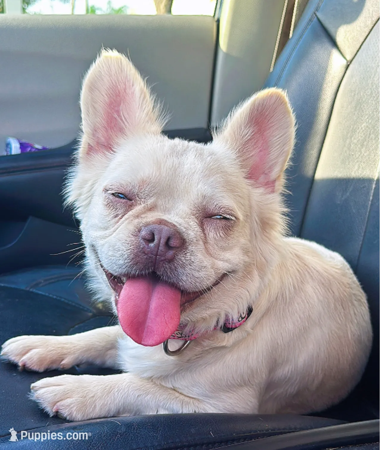 processed/782b0c0a-228e-4df4-9d0b-74b00d2ef510/listing/759ecf61-4415-4672-942c-b1ac79a014db/63df5d3e-44e0-4848-bf15-e6916b40d3d4