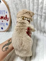 Grace, a female French Bulldog for sale in Orlando, FL – 4 of 5