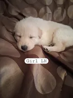 processed/782c6764-330f-411a-a435-f1af2c2f5b3d/listing/baaee360-dec7-46de-ab66-f8cba71a3151/12c1c7e8-0dfd-4e93-8a4d-6859f8136119