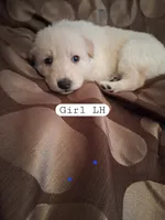 processed/782c6764-330f-411a-a435-f1af2c2f5b3d/listing/baaee360-dec7-46de-ab66-f8cba71a3151/bfd0e87b-98d7-4290-be3e-bc305a824716