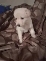 processed/782c6764-330f-411a-a435-f1af2c2f5b3d/listing/fa2e8ebf-262e-4d01-b426-229dd392df88/7c43d85f-194c-4f7b-a36c-339f87a509dc