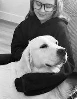 Prince, a male English Cream Golden Retriever for sale in Camp Douglas, WI – Photo 1 of 5