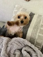 processed/7835d36e-ecf4-4c60-bdd3-c955cfa6c588/listing/9c6ab44e-1825-4257-ae3d-6c33cc014c1f/633ce58e-b3af-46e4-80bc-240e24d492d5