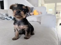 processed/7835d36e-ecf4-4c60-bdd3-c955cfa6c588/listing/9c6ab44e-1825-4257-ae3d-6c33cc014c1f/d10f1c84-0ee8-4882-b303-0e9d0c8c3514