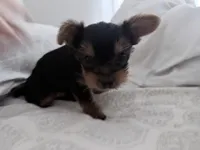 processed/7835d36e-ecf4-4c60-bdd3-c955cfa6c588/listing/9c6ab44e-1825-4257-ae3d-6c33cc014c1f/d46bfc17-1ff1-44b4-9010-e2152ff402c6