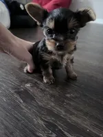 processed/7835d36e-ecf4-4c60-bdd3-c955cfa6c588/listing/9c6ab44e-1825-4257-ae3d-6c33cc014c1f/e2a50456-6fc0-4818-8f01-b55e74f55fde