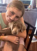 Daphne , a female Labrador Retriever for sale in Cleveland, TN – 3 of 3