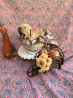 Orange, a male Golden Retriever for sale in Long Beach, MS – 4 of 5
