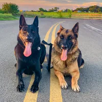 processed/78563fae-416c-459f-8365-d09561807497/facility/d6f79a7a-7ca7-4291-a8ec-df4df8b4d873