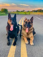 processed/78563fae-416c-459f-8365-d09561807497/facility/d6f79a7a-7ca7-4291-a8ec-df4df8b4d873