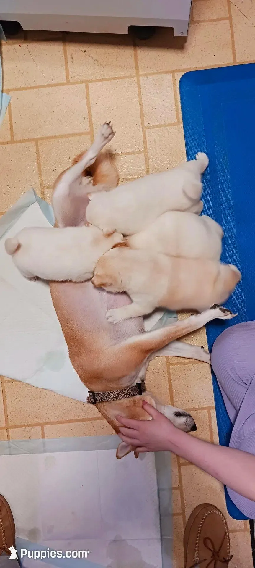 processed/785df7a0-f550-4db7-bca8-7c545e63946e/facility/5155f5ce-e4e2-443a-af20-0235856d3e6e