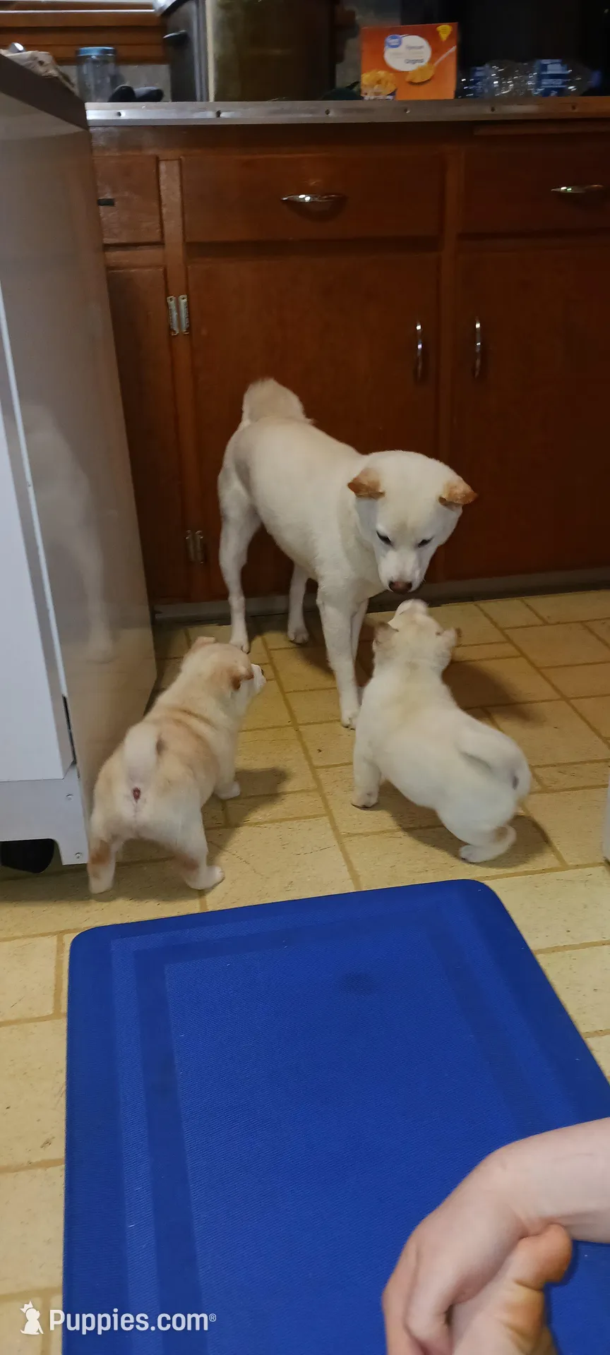 processed/785df7a0-f550-4db7-bca8-7c545e63946e/facility/52cc6df9-c6af-4e49-9209-65a6ba92d5a4