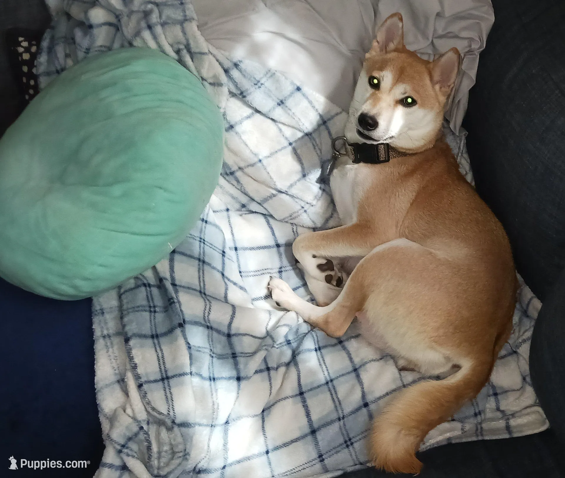 processed/785df7a0-f550-4db7-bca8-7c545e63946e/facility/5342694d-8cd7-4b75-8f64-a6ef139d05d9