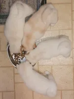 processed/785df7a0-f550-4db7-bca8-7c545e63946e/facility/b3ad8a6d-9d6d-4a3b-ae99-d08610e9f616