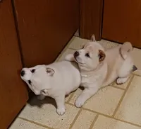 processed/785df7a0-f550-4db7-bca8-7c545e63946e/facility/c687c5a8-a489-44b0-adc2-0fac47baeef7