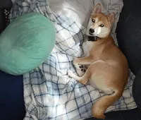 processed/785df7a0-f550-4db7-bca8-7c545e63946e/facility/ceba6a6a-c64e-4b29-a5e8-dc8f28672e8b