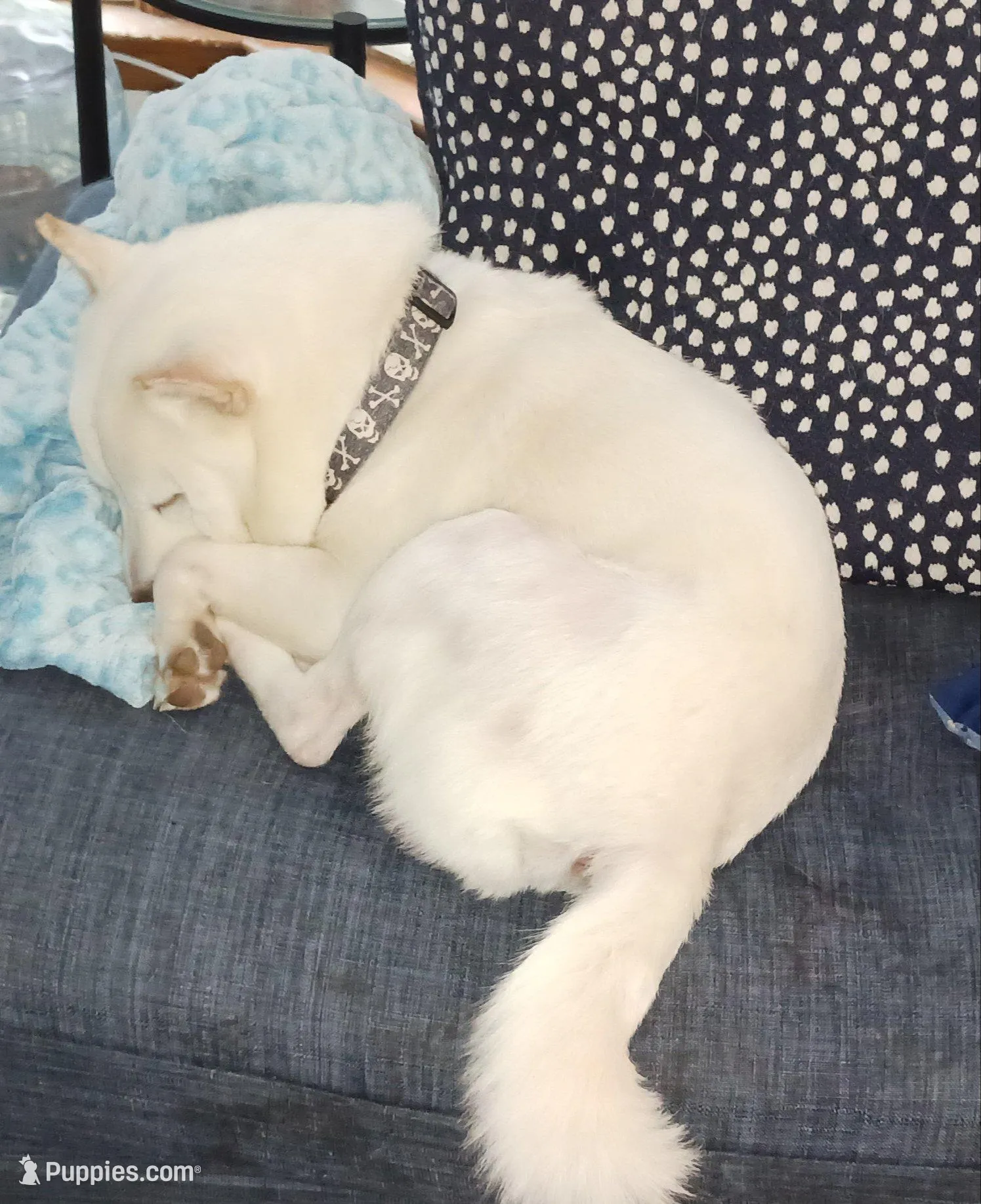 processed/785df7a0-f550-4db7-bca8-7c545e63946e/facility/da42af5c-48bf-42c9-8696-a0ac10c4ddb6