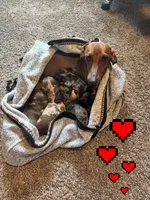 processed/786c23ac-aed8-459a-9ea9-afa65ecd73fc/facility/1dd95ab8-104e-4ab3-b909-624afacfafb3