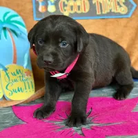 processed/787775cc-ae68-46b3-a972-6f869b706d7f/facility/027a5f67-5e87-47e8-8a42-7fff3231e074