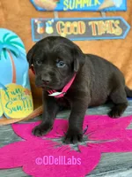 processed/787775cc-ae68-46b3-a972-6f869b706d7f/facility/027a5f67-5e87-47e8-8a42-7fff3231e074