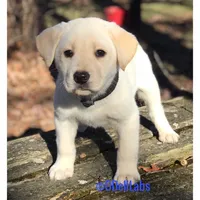 processed/787775cc-ae68-46b3-a972-6f869b706d7f/facility/20b68ec6-e4a9-4634-b64e-303a0b3e0e04