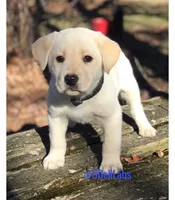 processed/787775cc-ae68-46b3-a972-6f869b706d7f/facility/20b68ec6-e4a9-4634-b64e-303a0b3e0e04