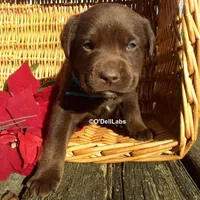 processed/787775cc-ae68-46b3-a972-6f869b706d7f/facility/2d8f0e1b-168e-4ba2-9daa-83f9a5fbfa1f